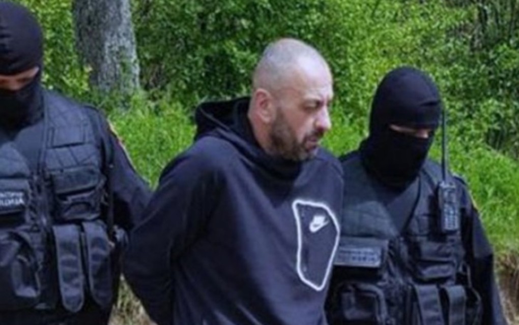 Vještaci o kretanju optuženog Balda u vrijeme ubistva Krunića