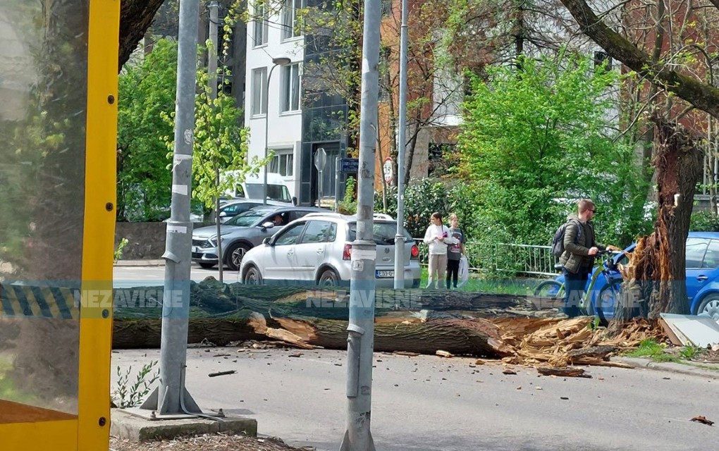 Ogromno stablo palo na ulicu u Banjaluci