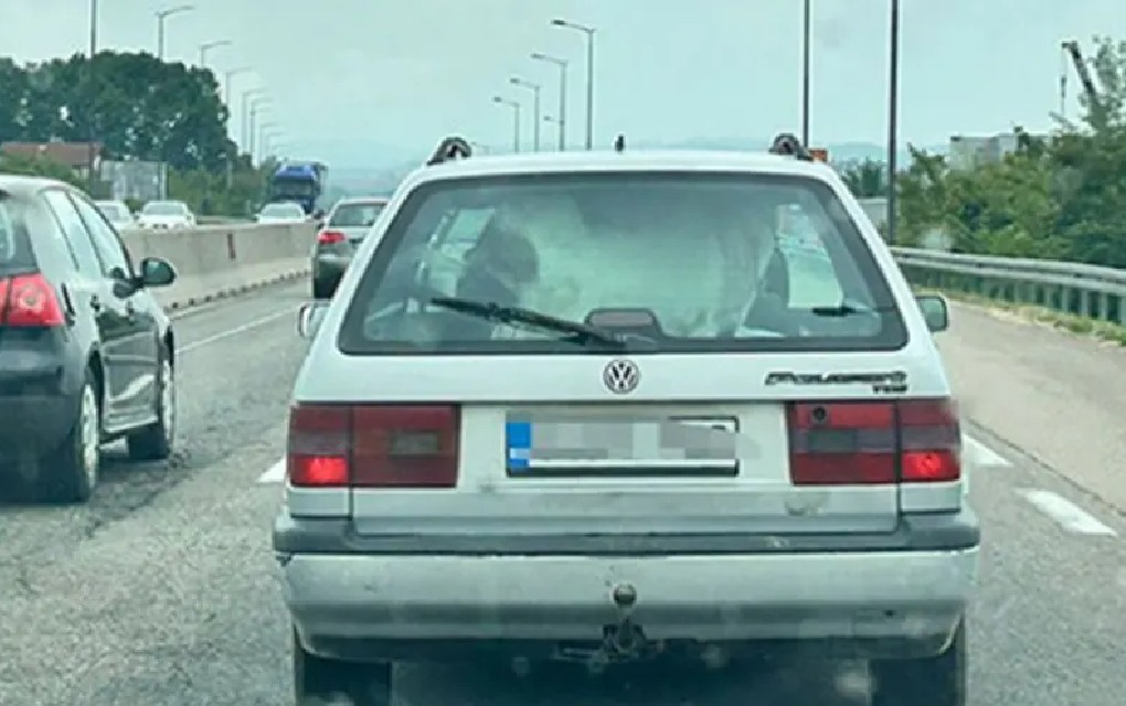 Neobična scena na brzoj cesti kod Banjaluke: Prevozio kozu u autu
