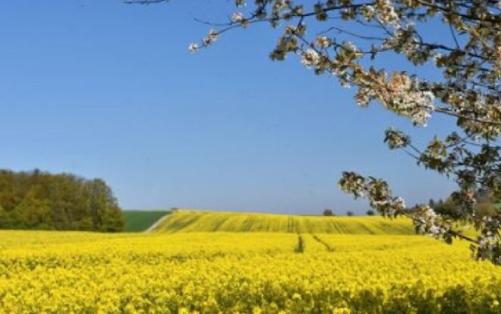 Maj donosi sunce i temperature do 32 stepena u Srpskoj, ali ne zadugo