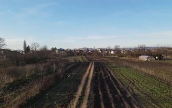 Niko neće da radi za 100 KM dnevno