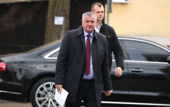 hapšenje radovana viškovića