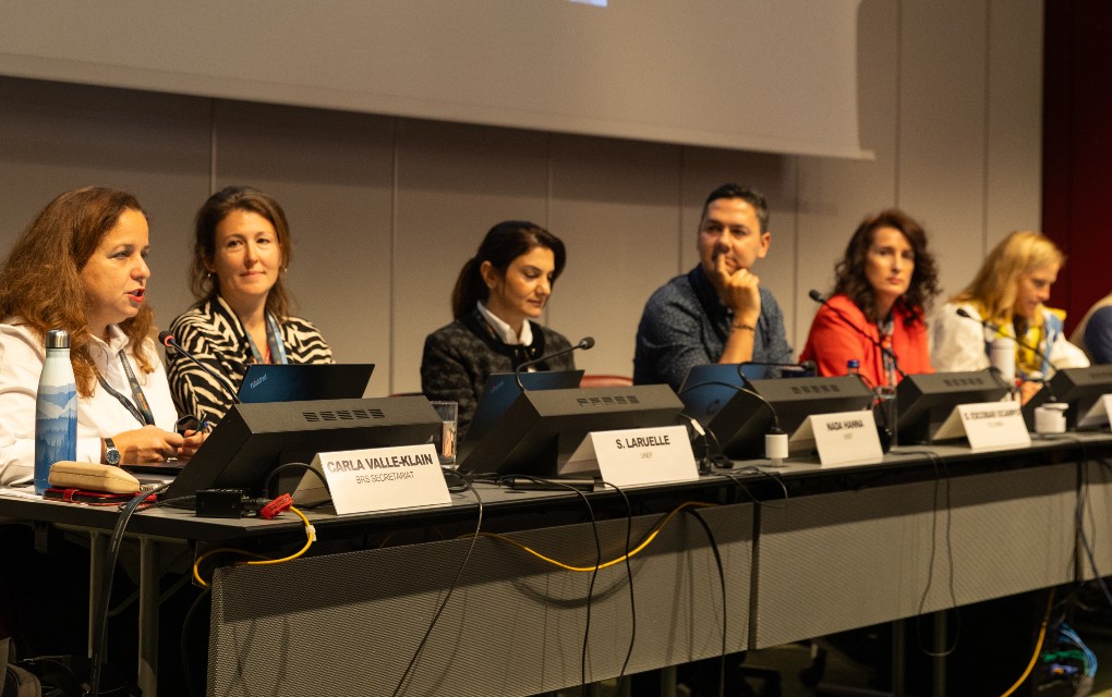 Profesor Slobomir P univerziteta na panelu u Ženevi