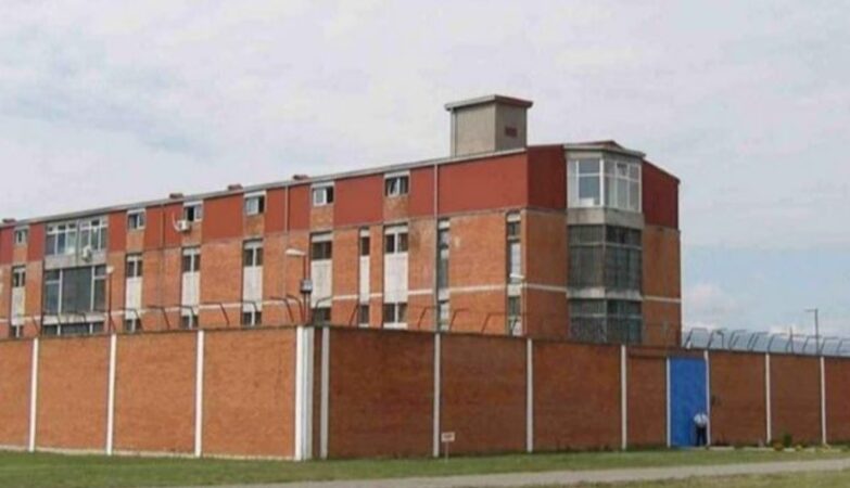 spuž