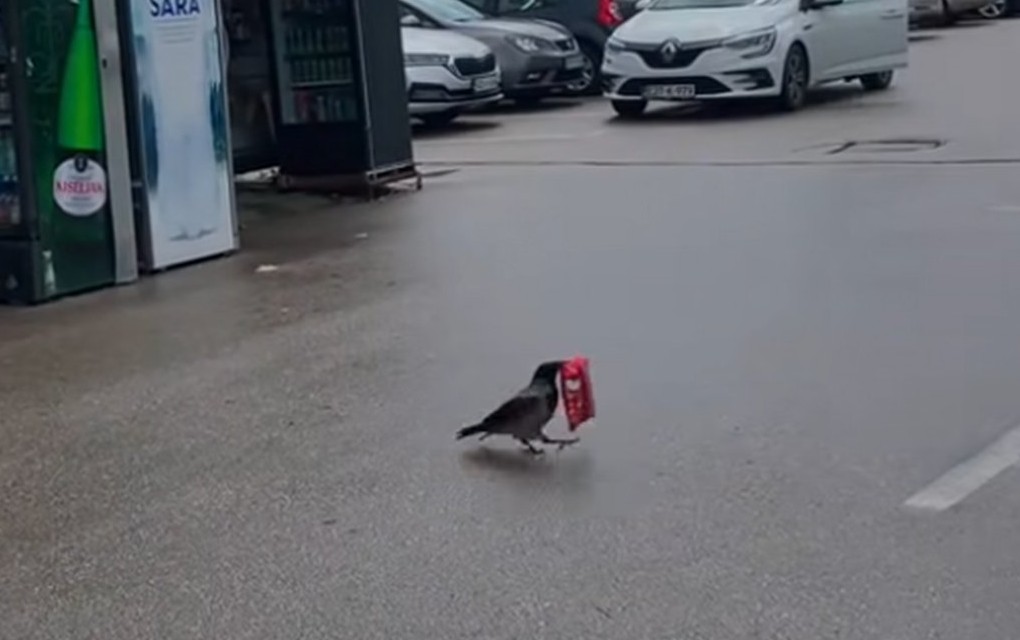 Vrana PLJAČKA kiosk u Sarajevu – Ajdi to šefu objasni?!