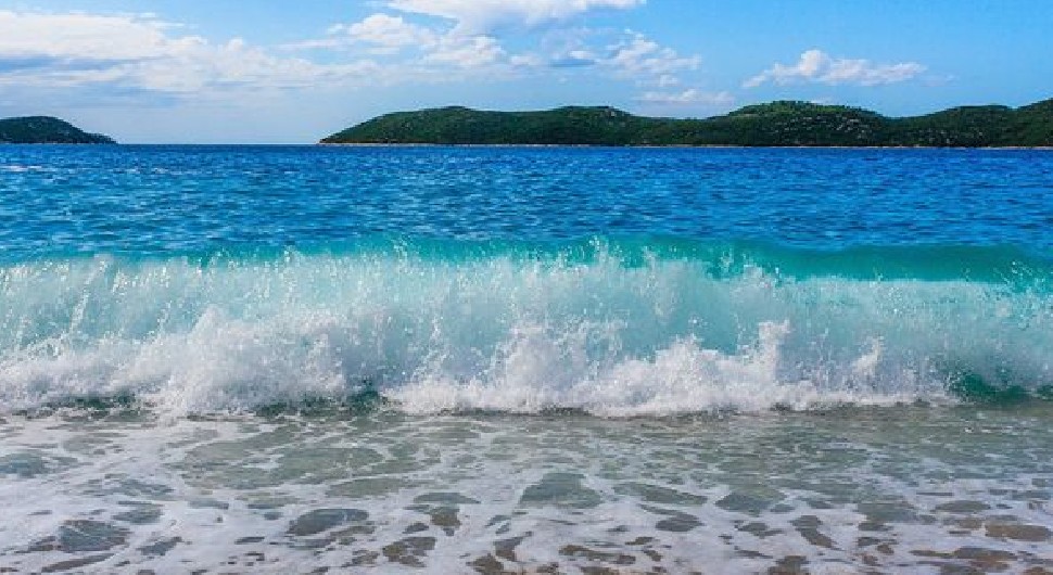 Upozorenje za turiste: U Jadranskom moru uočen morski div!
