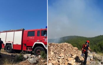 Vatra zahvatila više od 100.000 kvadrata šume