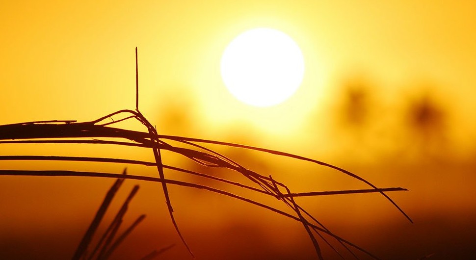 Evropa gori: Temperature prelaze 40 stepeni, izdana upozorenja