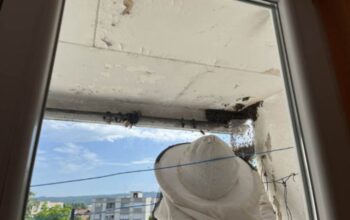 Pčelari zatrpani pozivima zbog najezde pčela
