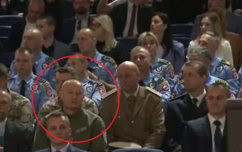 damjan vidović