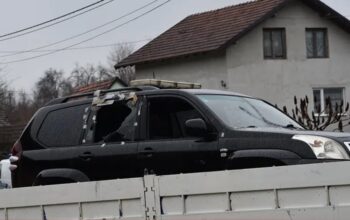 ubistvo slaviše krunića