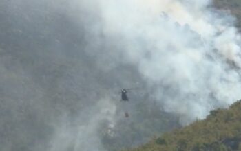 Požari kod Trebinja i dalje aktivni
