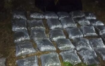 Oduzete desetine kilograma droge