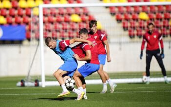 fk borac
