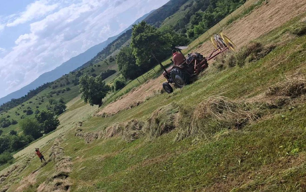Posvađali se tokom kosidbe, pa zapalio sijeno