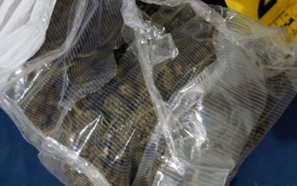 Pred roditeljima u Banjaluci od maloljetnika oduzeta marihuana