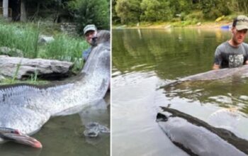 Poznati češki ribolovac oborio rekord
