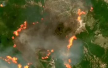 Satelitski snimci pokazuju razmjere požara u Crnoj Gori