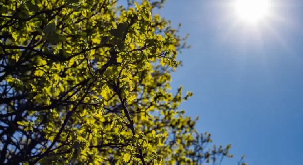 Danas sunčano, narednih dana ponovo kiša
