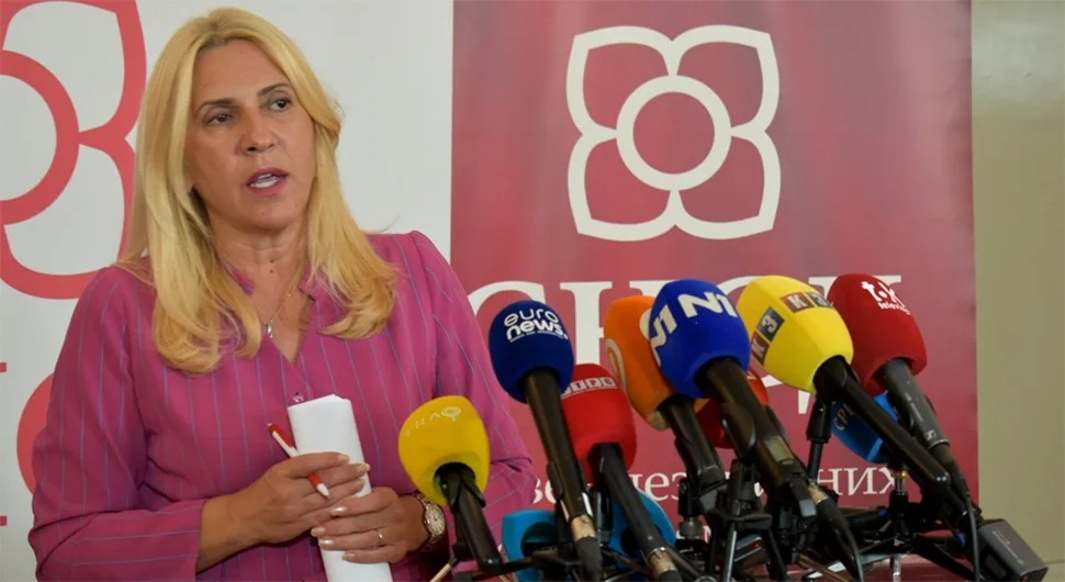 Cvijanović: Došli smo u jednu nezgodnu situaciju po BiH