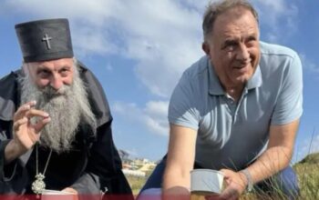 dodik i porfirije beru borovnicu