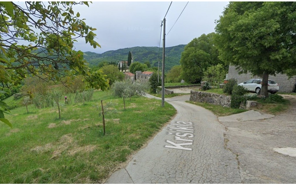 Tragedija u Istri: Drvo palo na dijete i ubilo ga!