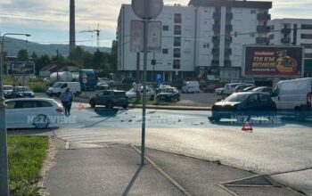 udes u novom boriku
