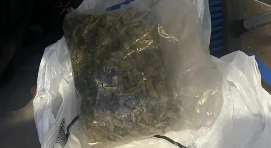 Nastavak akcije “Igman”: Uhapšena trojica u Banjaluci i Gradišci, pronađena droga