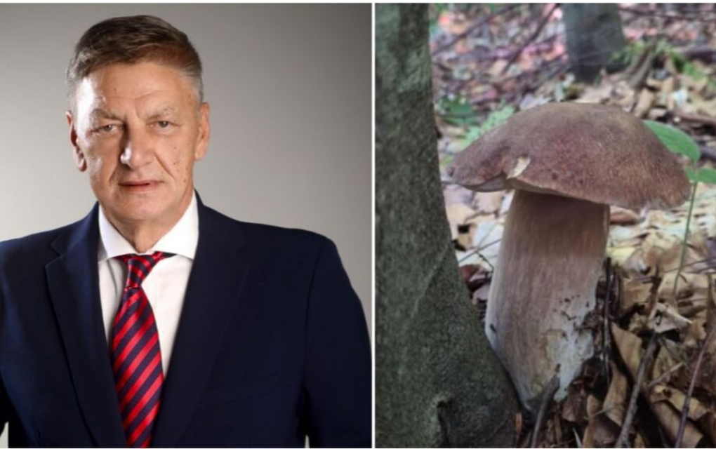 Dok su mu čitali presudu u sudu, Kasumović „brao gljive“