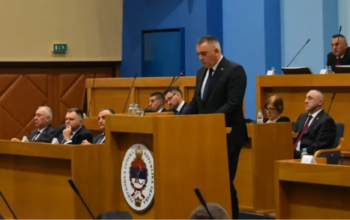 savo minić
