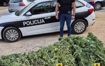 U plasteniku pronašli 50 kg droge