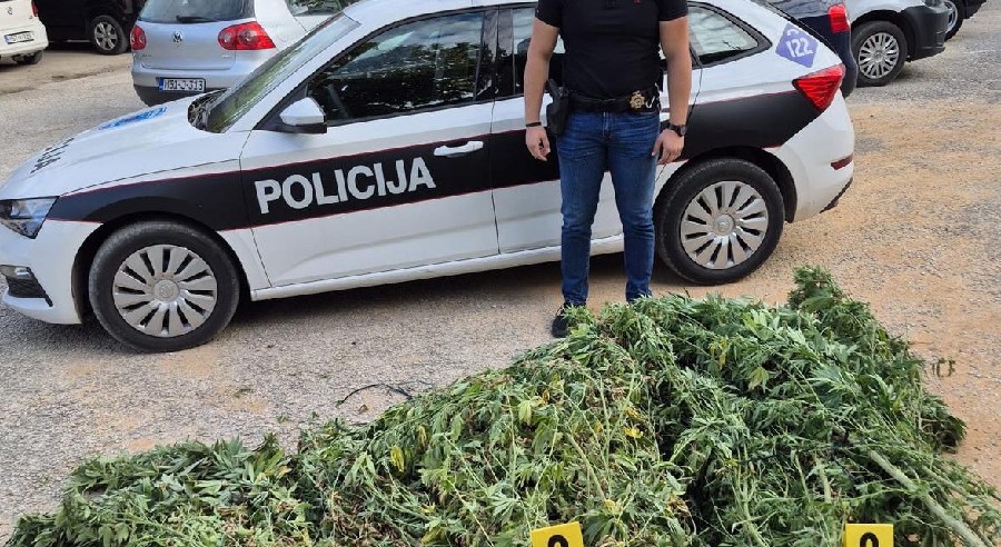U plasteniku pronašli 50 kg droge