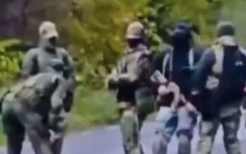 Pojavili se "mali zeleni ljudi"