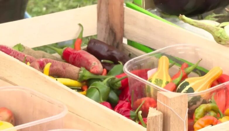 Špajz fest u Čelincu