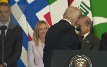 tramp i meloni