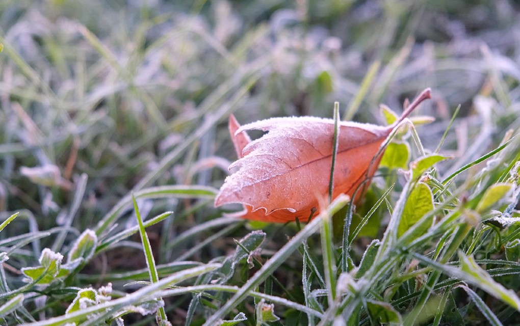Meteorolozi objavili prognozu do petka: Najavili mraz i minus