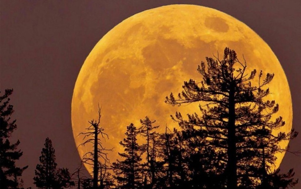 Danas će se pojaviti najveći supermjesec u godini