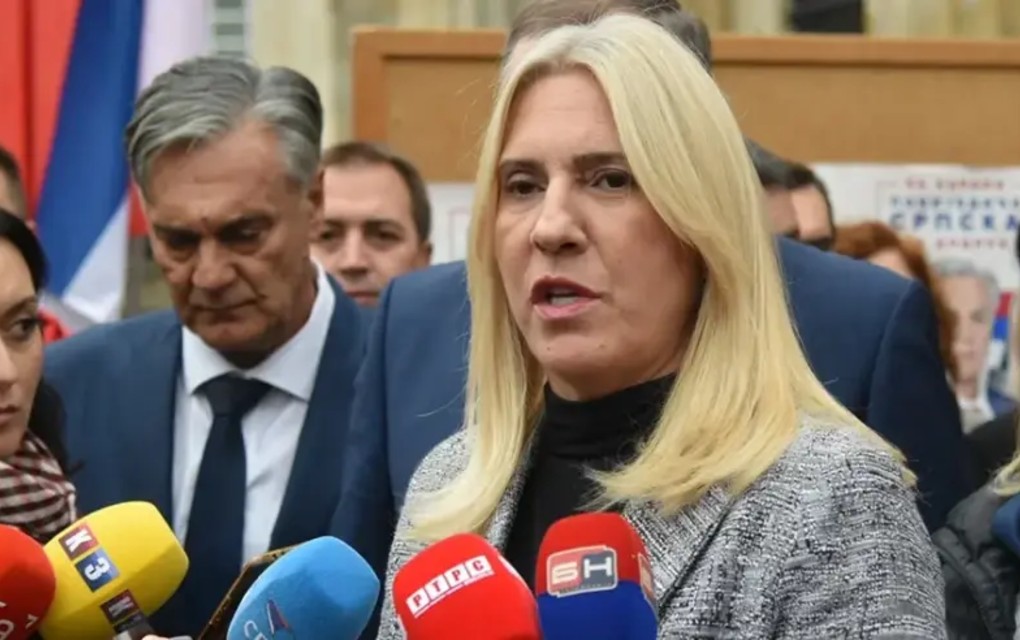 Cvijanović: Nije bilo amandmana