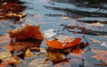 Narednih dana proljećne temperature