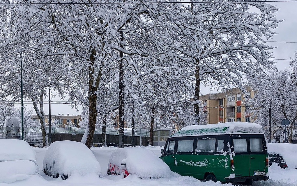 Tragedija u Sarajevu: Palo drvo na ženu, umrla u bolnici