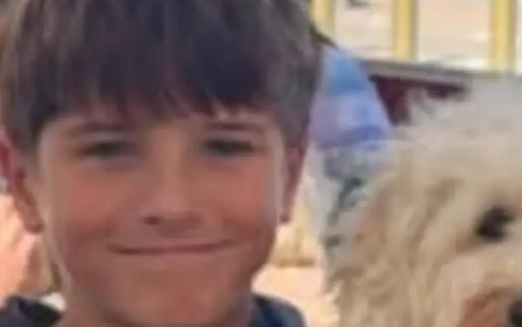Mali heroj nije izdržao: Umro Niko Antić (12)