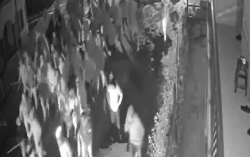 Predložen pritvor za 14 huligana nakon tučnjave Tocide i Delija