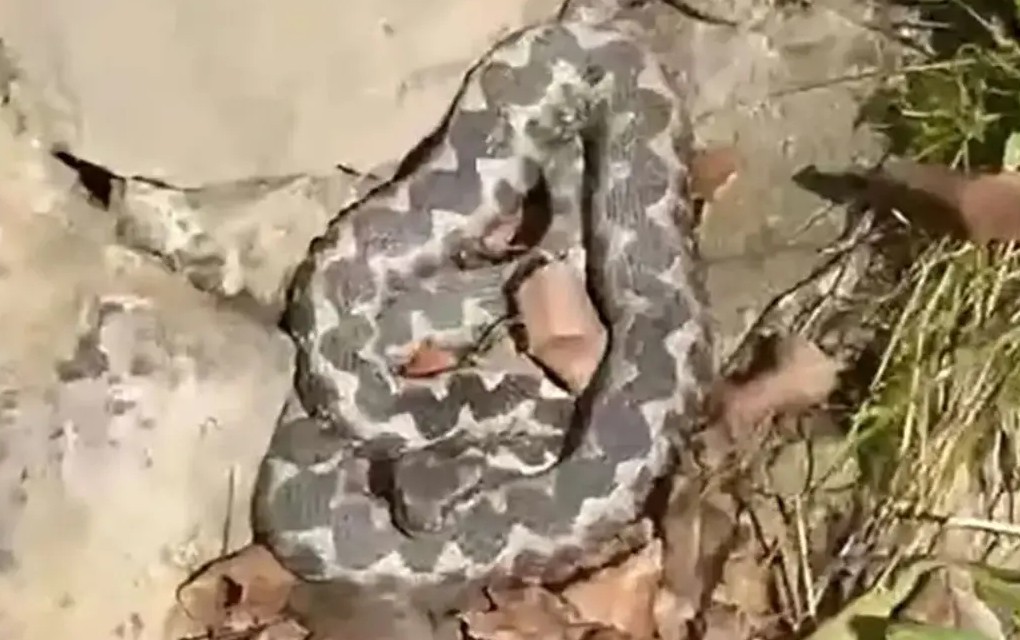 Poskok u Banjaluci usred februara: Savjet stručnjaka