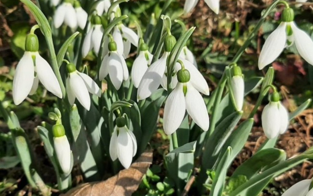 Da li nam je proljeće ove godine stiglo ranije i do kada će potrajati lijepo vrijeme?