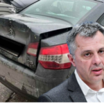 radojičića udario autobus