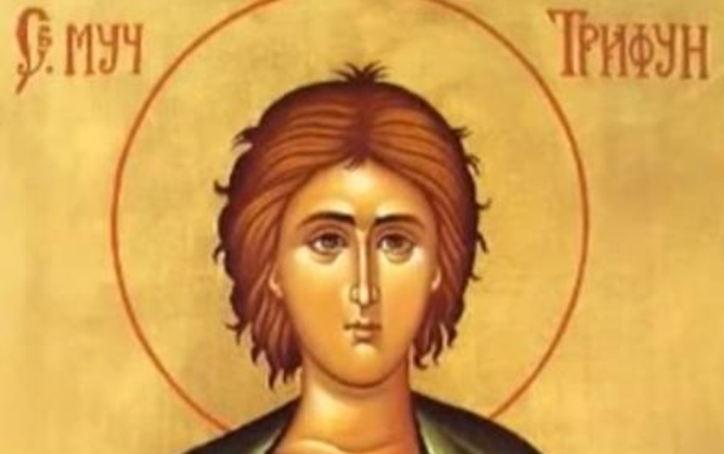 Slavimo Svetog Trifuna! Ovo su svi običaji i verovanja: Ako danas padnu kiša ili snijeg, zna se kakva nas godina čeka