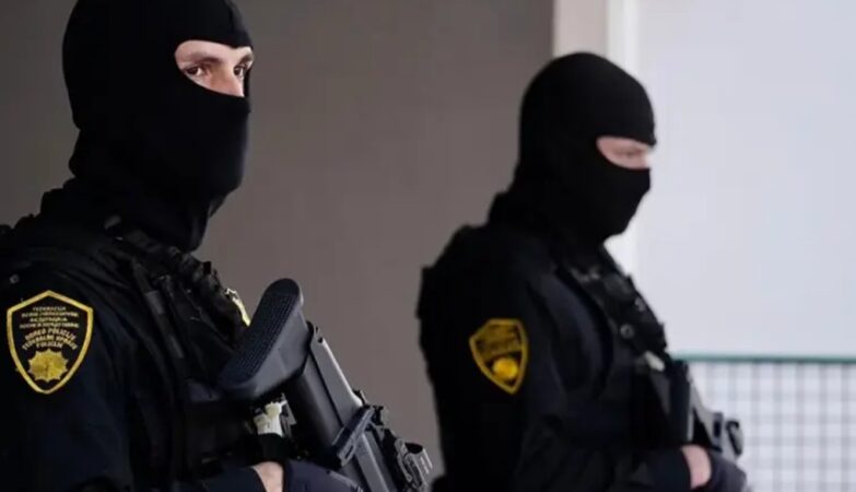 federalna policija