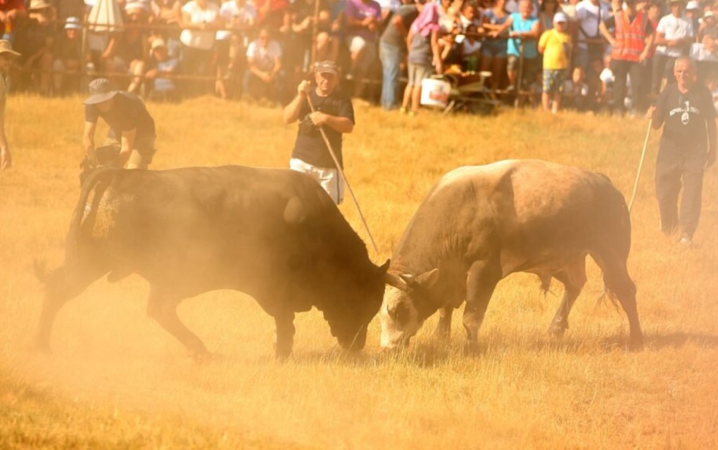 Kočićev zbor SIMBOL jedinstva Srba iz Republike Srpske i Srbije – Na Manjaču se vraćaju oni koji su se iselili