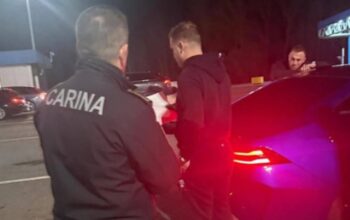 priveden stanivuković