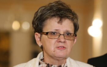 spomenka stevanović